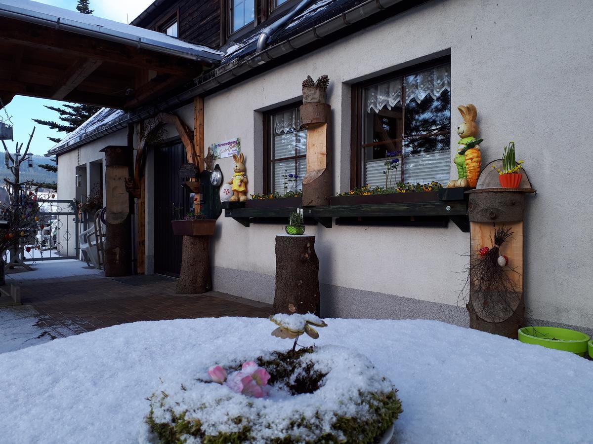 Ferienwohnung Aronia Garten Oberwiesenthal Exteriör bild