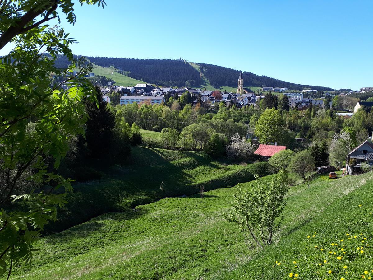Ferienwohnung Aronia Garten Oberwiesenthal Exteriör bild